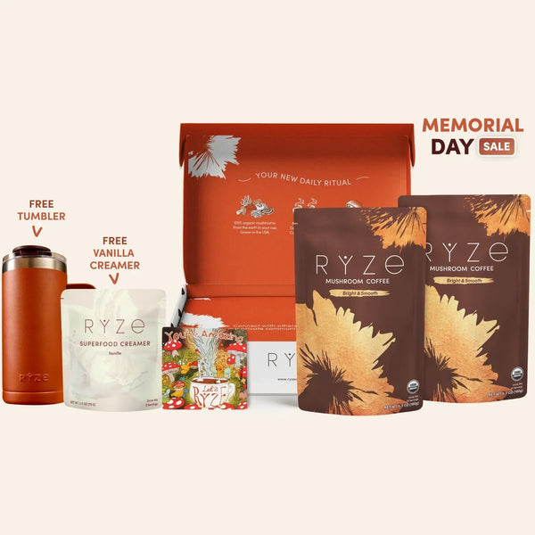 Mushroom Coffee Starter Kit 60 Serving v10024