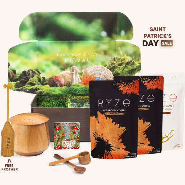 Mushroom Coffee Ritual Set v10113