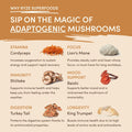 Mushroom Overnight Oats (14 Servings) v10091