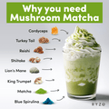 RYZE Organic Mushroom Matcha Starter Kit (60 servings) v10092